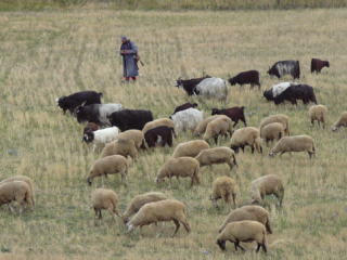 Speellijst 14 januari