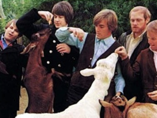 Pet Sounds is jarig!