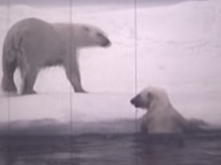 Zondag 10 maart 1970