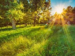 Speellijst 29 september