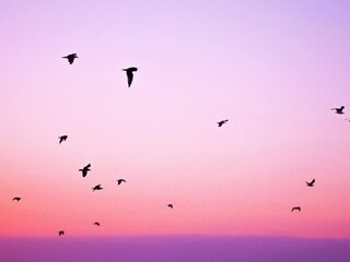 Speellijst 13 oktober 2019