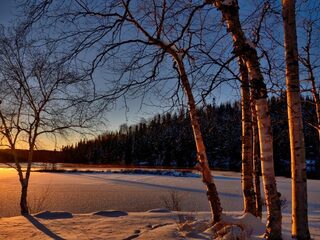 Speellijst 21 december 2019