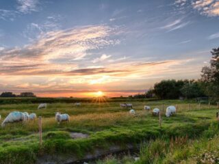 Speellijst 27 juli 2019