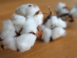 Speellijst 22 september