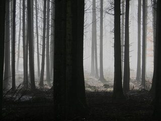 Speellijst 13 januari