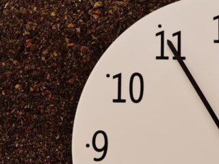 Speellijst 30 december