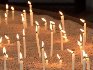 Uitzending 14 januari