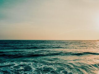 Speellijst 21 november