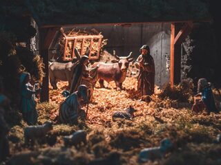 Speellijst 19 december