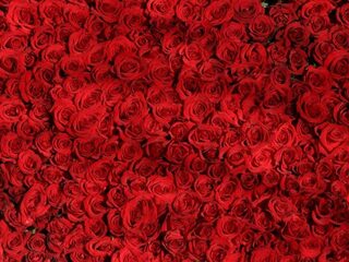 Speellijst 15 februari 2020