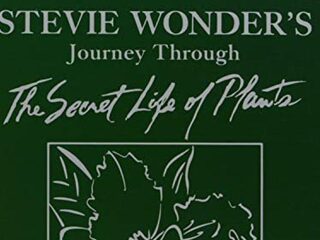 Speellijst 10 januari 2021