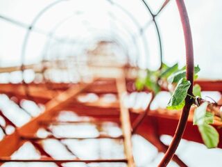 Speellijst 16 februari 2020