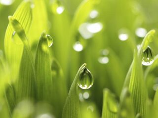 Speellijst 8 september