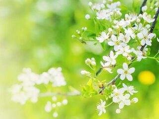 Speellijst 22 februari