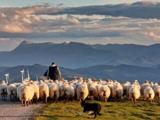 Speellijst 14 september