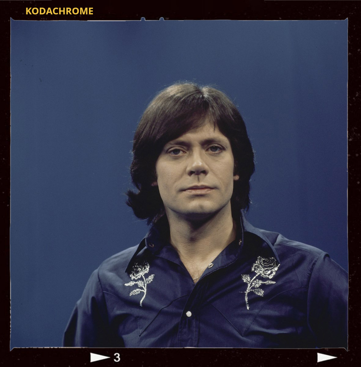 Rob de Nijs