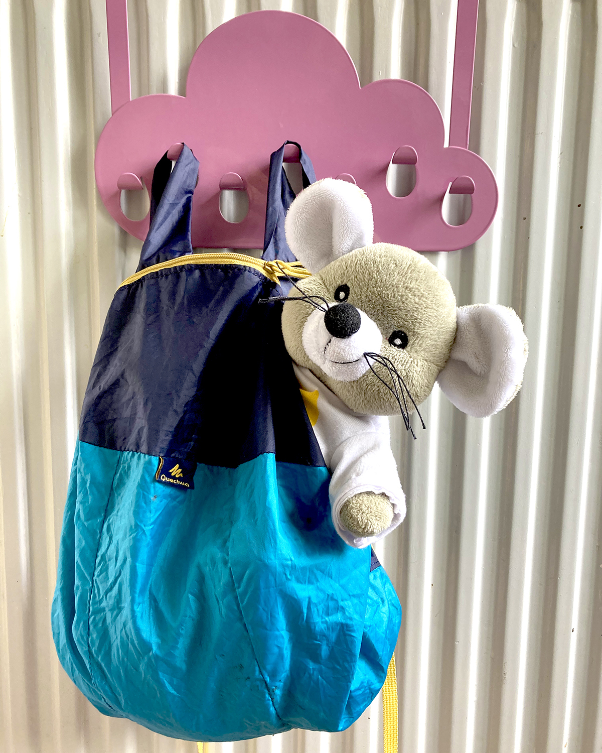 Je Voelt je Thuis Muis