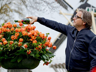 Guus Meeuwis doopt zijn eigen tulp in Keukenhof
