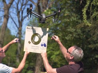 Racoon verrast met gouden plaat via 'luchtpost'