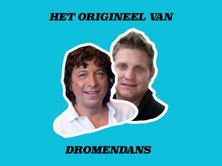 Het origineel van 'Dromendans' van Vinzzent